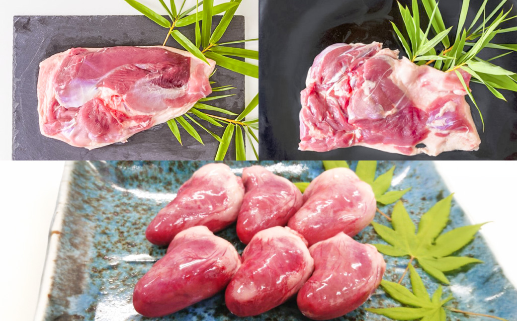 『京鴨』鴨肉 ふるさと 特選 セット（3パック（合計約900g））／ 3種 詰め合わせ むね ロース モモ はつ 鴨 カモ 【配達不可：離島】