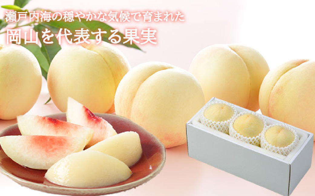 岡山白桃 ロイヤル 3玉 × 約200g 計約600g 岡山県産 （早生種・中生種） 【2026年7月上旬～8月下旬迄発送予定】 ／ 白桃 桃 もも 果物 果実 フルーツ 岡山県 美咲町 冷蔵