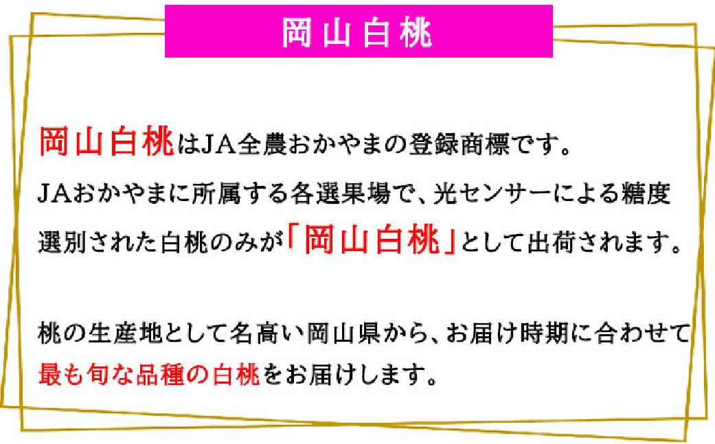 岡山白桃 ロイヤル 3玉 × 約200g 計約600g 岡山県産 （早生種・中生種） 【2026年7月上旬～8月下旬迄発送予定】 ／ 白桃 桃 もも 果物 果実 フルーツ 岡山県 美咲町 冷蔵