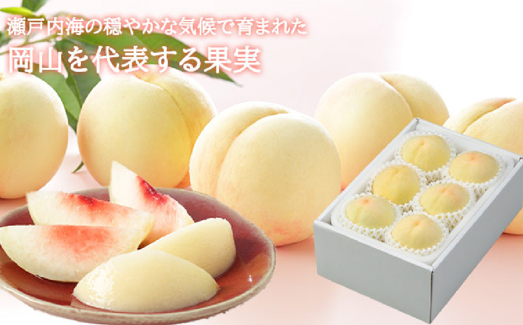 岡山白桃 ロイヤル 4～8玉 約1.2kg 岡山県産 （早生種・中生種） 【2026年7月上旬～8月下旬迄発送予定】 ／ 白桃 桃 もも 果物 果実 フルーツ 岡山県 美咲町 冷蔵