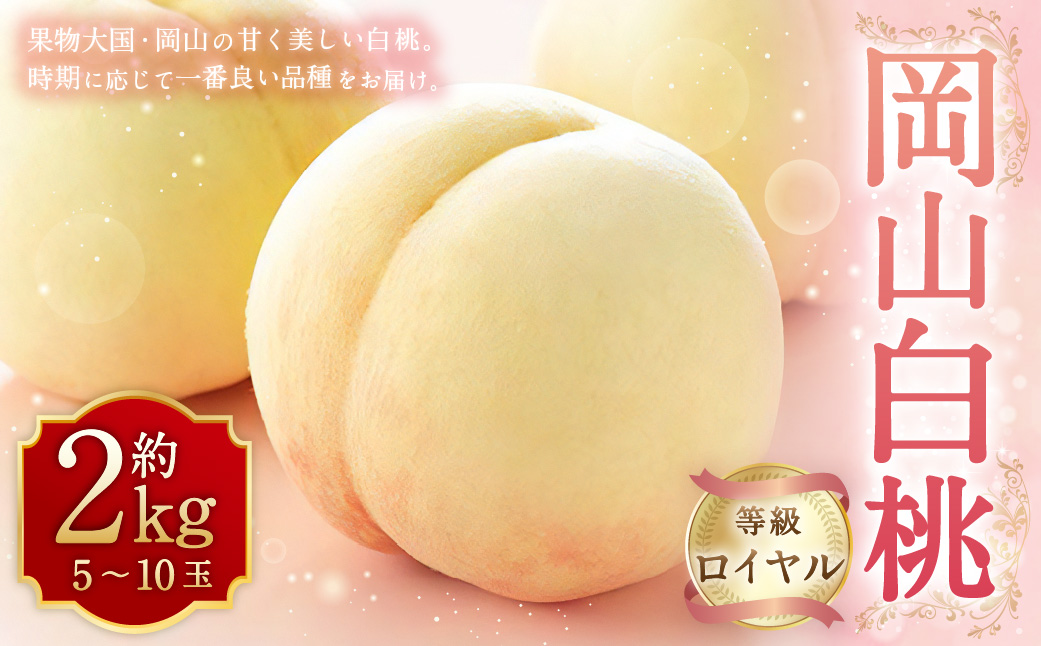 岡山白桃 ロイヤル 5～10玉 約2kg 岡山県産 （早生種・中生種） 【2026年7月上旬～8月下旬迄発送予定】 ／ 白桃 桃 もも 果物 果実 フルーツ 岡山県 美咲町 冷蔵