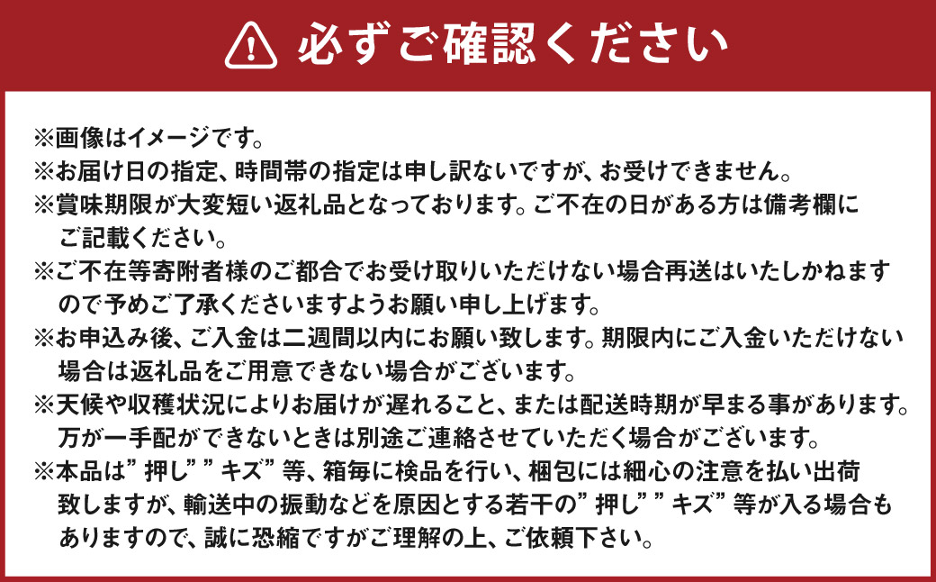 【 全4回定期便 】 晴れの国 岡山のフルーツ 定期便 （ ニューピオーネ / シャインマスカット 晴王 / 紫苑 / あたご梨 ） フルーツ 果物 くだもの ぶどう ブドウ マスカット 梨 なし ナシ 旬 ギフト 贈答 プレゼント 国産 【 2026年9月上旬より発送開始 】