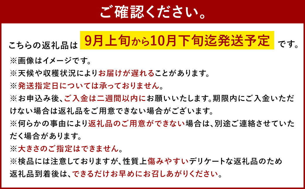 シャインマスカット 晴王 秀品 大房 5 ～ 9房 約5kg マスカット ぶどう ブドウ 葡萄 果物 くだもの フルーツ 果実 果汁 果肉 旬 種なし 皮ごと 大粒 冷蔵 国産 岡山県産 【 2026年9月上旬から11月下旬迄発送 】