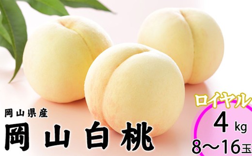岡山白桃 ロイヤル 8～16玉 約4kg 岡山県産 （早生種・中生種） 【2026年7月上旬～8月下旬迄発送予定】 ／ 白桃 桃 もも 果物 果実 フルーツ 岡山県 美咲町 冷蔵