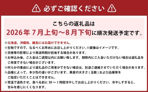 岡山白桃 エース 3玉 × 約200g 計約600g 岡山県産 （早生種・中生種） 【2026年7月上旬～8月下旬迄発送予定】 ／ 白桃 桃 もも 果物 果実 フルーツ 岡山県 美咲町 冷蔵