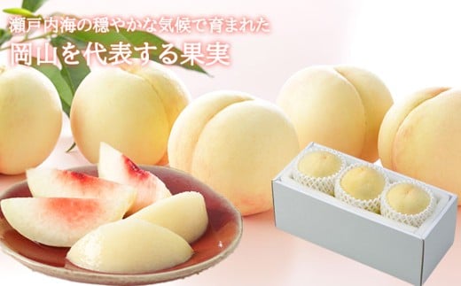 岡山白桃 エース 4～6玉 約1kg 岡山県産 （早生種・中生種） 【2026年7月上旬～8月下旬迄発送予定】 ／ 白桃 桃 もも 果物 果実 フルーツ 岡山県 美咲町 冷蔵