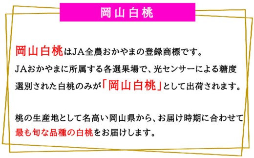 岡山白桃 エース 4～6玉 約1kg 岡山県産 （早生種・中生種） 【2026年7月上旬～8月下旬迄発送予定】 ／ 白桃 桃 もも 果物 果実 フルーツ 岡山県 美咲町 冷蔵