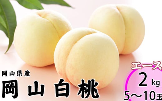 岡山白桃 エース 5～10玉 約2kg 岡山県産 （早生種・中生種） 【2026年7月上旬～8月下旬迄発送予定】 ／ 白桃 桃 もも 果物 果実 フルーツ 岡山県 美咲町 冷蔵