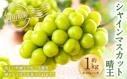 岡山県産 シャインマスカット 晴王 約1kg （ 約500g×2房 ） ぶどう ブドウ 葡萄 くだもの 果物 果実 フルーツ 国産 マスカット 【 2026年7月上旬～8月下旬発送予定 】