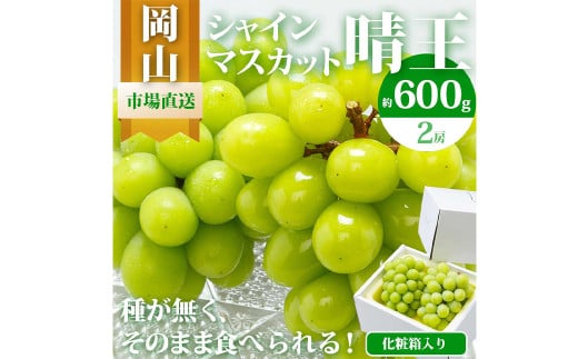 岡山県産 シャインマスカット『晴王』2房（1房600g以上） 化粧箱入り 【2026年8月下旬-10月上旬迄発送予定】 ／ マスカット 葡萄 ぶどう 果物 果実 フルーツ 岡山県 美咲町 冷蔵