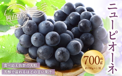 岡山県産 ニューピオーネ 約700g （ 700g×1房 ） ぶどう ブドウ 葡萄 種なし 種無し くだもの 果物 果実 フルーツ 国産 【 2026年8月下旬～9月下旬発送予定 】