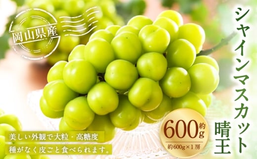 岡山県産 シャインマスカット 晴王 約600g （ 600g×1房 ） ぶどう ブドウ 葡萄 マスカット 果物 くだもの フルーツ 国産 【 2026年8月下旬～11月下旬発送予定 】