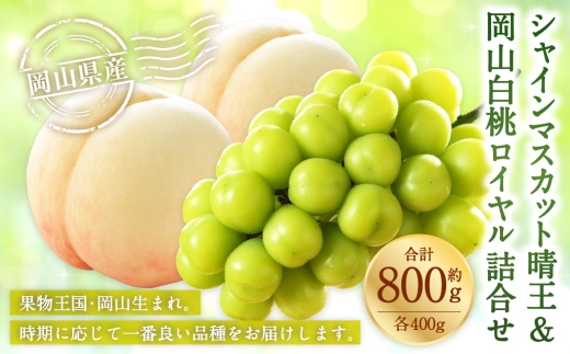 岡山県産 岡山白桃 ロイヤル Lサイズ 約200g×2玉・ シャインマスカット 晴王 約400g×1房 詰合せ 白桃 モモ もも 桃 ぶどう ブドウ 葡萄 マスカット くだもの 果物 果実 フルーツ 国産 家庭用 ギフト 贈り物 贈答 【 2026年7月上旬～8月下旬発送予定 】