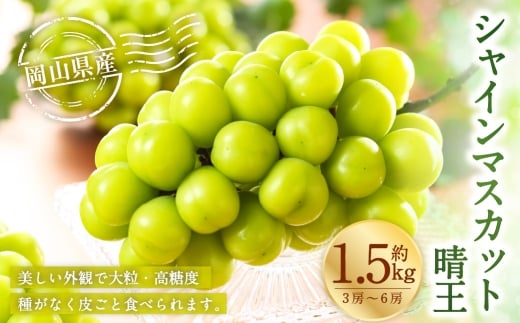 岡山県産 シャインマスカット 晴王 約1.5kg （ 3房～6房 ） ぶどう ブドウ 葡萄 マスカット 果物 くだもの フルーツ 国産 【 2026年8月下旬～11月下旬発送予定 】