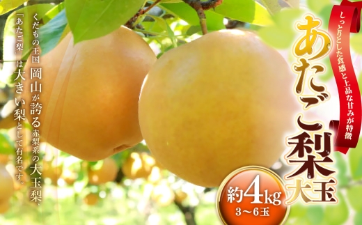 あたご梨 約4kg （ 3 ～ 6玉 ） 梨 なし ナシ くだもの 果物 果実 フルーツ あたご 贈答 贈答品 完熟 国産 岡山県産 【 2026年11月下旬～12月下旬発送予定 】