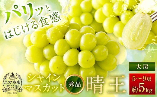シャインマスカット 晴王 秀品 大房 5 ～ 9房 約5kg マスカット ぶどう ブドウ 葡萄 果物 くだもの フルーツ 果実 果汁 果肉 旬 種なし 皮ごと 大粒 冷蔵 国産 岡山県産 【 2026年8月上旬から11月下旬迄発送 】