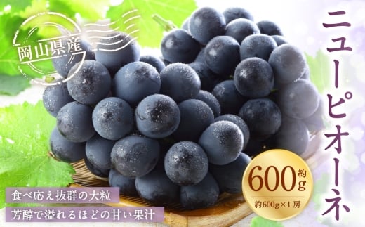 岡山県産 ニューピオーネ 約600g （ 約600g×1房 ） ぶどう ブドウ 葡萄 くだもの 果物 果実 フルーツ 種なし 種無し 国産 【 2026年6月下旬～7月下旬発送予定 】