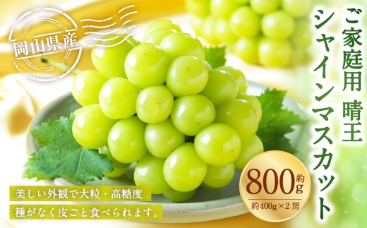 ご家庭用 岡山県産 シャインマスカット 晴王 約800g （ 400g×2房 ） ぶどう ブドウ 葡萄 マスカット 果物 くだもの フルーツ 国産 【 2026年8月下旬～11月下旬発送予定 】