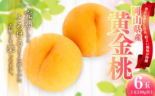 岡山県産 黄金桃 6玉 （ 1玉 240g以上 ） 香り 甘味 酸味 完熟 果皮 くだもの 果物 果実 国産 果汁 糖度 果肉 フルーツ もも モモ 桃 黄金 【 2026年9月上旬～9月下旬発送予定 】