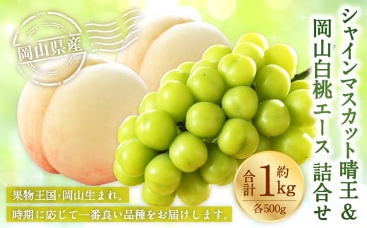 岡山県産 岡山白桃 エース 2Lサイズ 約250g×2玉・ シャインマスカット 晴王 約500g×1房 詰合せ 白桃 モモ もも 桃 ぶどう ブドウ 葡萄 マスカット くだもの 果物 果実 フルーツ 国産 家庭用 ギフト 贈り物 贈答 【 2026年7月上旬～8月下旬発送予定 】