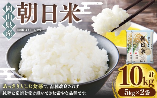 【 令和7年産 】 岡山県産 朝日米 10kg （ 5kg × 2袋 ） お米 米 こめ コメ 白米 白飯 飯 ご飯 おにぎり 国産