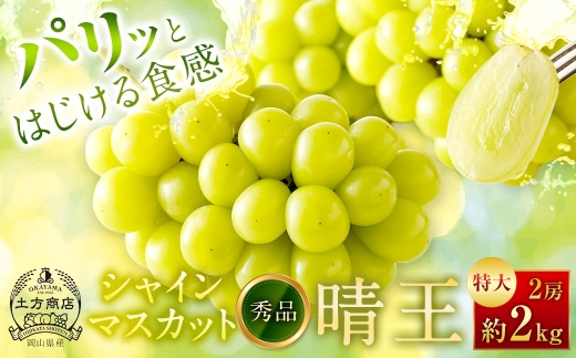 シャインマスカット 晴王 秀品 特大 2房 約2kg マスカット ぶどう ブドウ 葡萄 果物 くだもの フルーツ 果実 果汁 果肉 旬 種なし 皮ごと 大粒 冷蔵 国産 岡山県産 【 2026年8月上旬から10月下旬迄発送 】