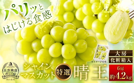 シャインマスカット 晴王 特選 大房 6房 約4.2kg 化粧箱入 マスカット ぶどう ブドウ 葡萄 果物 くだもの フルーツ 果実 果汁 果肉 旬 種なし 皮ごと 大粒 冷蔵 贈答用 贈り物 プレゼント ギフト 国産 岡山県産 【 2026年8月上旬から10月下旬迄発送 】