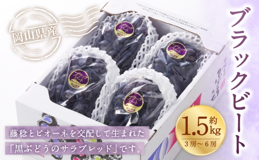 岡山県産 ブラックビート 約1.5kg （ 3房～6房 ） ぶどう ブドウ 葡萄 くだもの 果物 果実 フルーツ 国産 黒ぶどう 【 2026年8月上旬～9月上旬発送予定 】