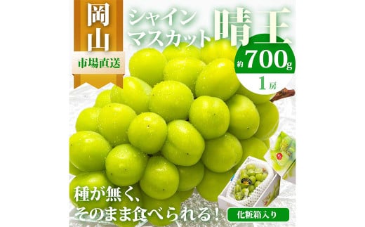 岡山県産 シャインマスカット『晴王』1房 （700g以上） 化粧箱入り 【2026年8月下旬-10月上旬迄発送予定】／ マスカット 葡萄 ぶどう 果物 果実 フルーツ 岡山県 美咲町 冷蔵