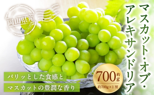 岡山県産 マスカット･オブ･アレキサンドリア 約700g （ 約700g×1房 ） ぶどう ブドウ 葡萄 くだもの 果物 果実 フルーツ 国産 マスカット 【 2026年6月下旬～7月下旬発送予定 】
