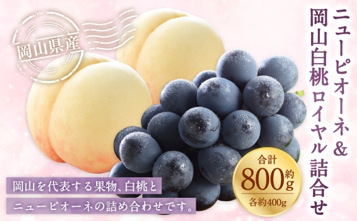 岡山県産 岡山白桃 ロイヤル Lサイズ 約200g×2玉・ ニューピオーネ 約400g×1房 詰合せ ぶどう ブドウ 葡萄 くだもの 果物 果実 フルーツ 国産 白桃 モモ もも 桃 家庭用 ギフト 贈り物 贈答 【 2026年7月上旬～8月下旬発送予定 】