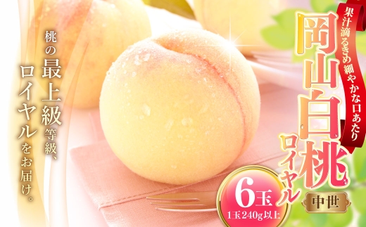 岡山白桃 （ 中世 ） 6玉 （ 1玉 240g以上 ） 白桃 果皮 有袋栽培 くだもの 果物 果実 国産 岡山県産 果肉 フルーツ もも モモ 桃 果汁 糖度 食感 【 2026年7月上旬～8月下旬発送予定 】