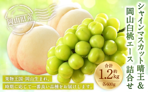 岡山県産 岡山白桃 エース 3Lサイズ 約300g×2玉・ シャインマスカット 晴王 約600g×1房 詰合せ 白桃 モモ もも 桃 ぶどう ブドウ 葡萄 マスカット くだもの 果物 果実 フルーツ 国産 家庭用 ギフト 贈り物 贈答 【 2026年7月上旬～8月下旬発送予定 】