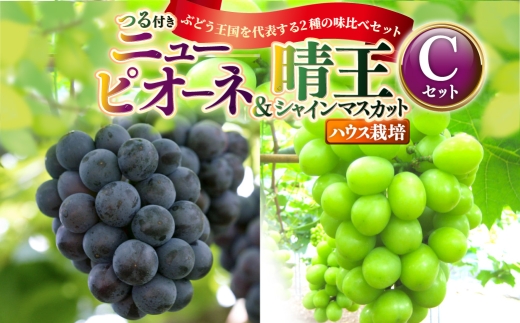つる付き！ ニューピオーネ ＆ 晴王 シャインマスカット Cセット ハウス栽培 ブドウ ぶどう 葡萄 果物 くだもの フルーツ 果実 マスカット 食べ比べ 【 2026年7月上旬～8月上旬発送予定 】