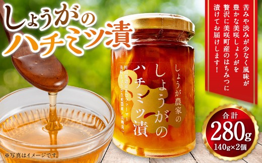 しょうがのはちみつ漬け 2個セット 140g×2 計280g ／ 生姜 しょうが ジンジャー 野菜 蜂蜜 はちみつ ハニー