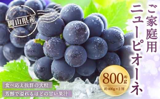 ご家庭用 岡山県産 ニューピオーネ 約800g （ 400g×2房 ） ぶどう ブドウ 葡萄 くだもの 果物 果実 フルーツ 国産 【 2026年8月下旬～9月下旬発送予定 】