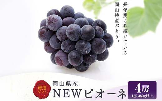 ニューピオーネ 4房 （ 1房 480g以上 ） ぶどう ブドウ 葡萄 フルーツ 果物 くだもの 岡山県産 国産 【 2026年8月下旬～10月上旬迄順次発送予定 】