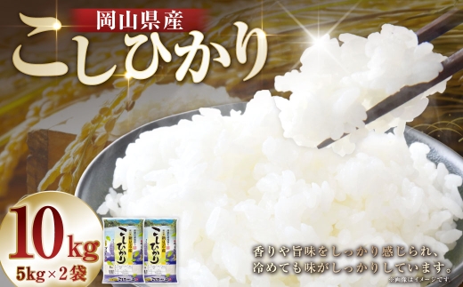 【 令和7年産 】 岡山県産 コシヒカリ 10kg （ 5kg × 2袋 ） お米 米 こめ 白米 白飯 飯 ご飯 おにぎり ブランド米 ブランド 国産 コメ