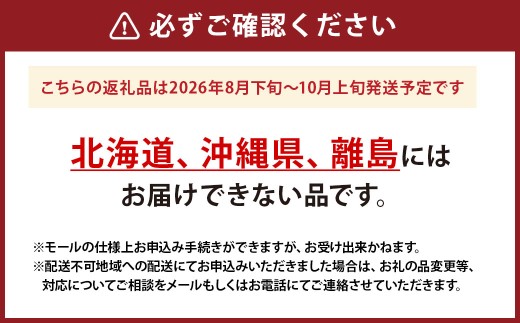 ニューピオーネ 4房 （ 1房 480g以上 ） ぶどう ブドウ 葡萄 フルーツ 果物 くだもの 岡山県産 国産 【 2026年8月下旬～10月上旬迄順次発送予定 】