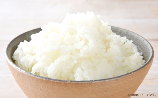 【 令和7年産 】 岡山県産 きぬむすめ 10kg （ 5kg × 2袋 ） お米 米 こめ 白米 白飯 飯 ご飯 おにぎり ブランド米 ブランド 国産 コメ