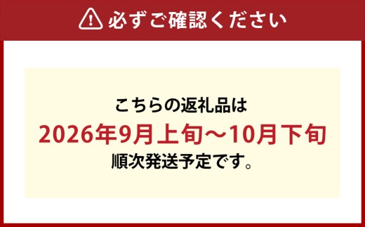 晴王 つる付きシャインマスカット 2房 （ 1房 580g以上 ） 露地栽培 シャインマスカット つる付き 香り くだもの 果物 果実 フルーツ ぶどう 葡萄 マスカット 国産 岡山県産 果汁 甘味 【 2026年9月上旬～10月下旬発送予定 】