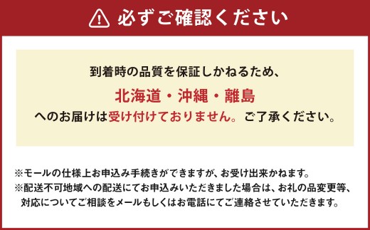 オーロラブラック 2房 （ 合計約1.1kg ） 化粧箱入り ぶどう ブドウ 葡萄 くだもの 果物 フルーツ 果実 果汁 果肉 国産 岡山県産 化粧箱 プレゼント ギフト 贈答品 贈り物 【 2026年8月下旬〜9月下旬迄順次発送予定 】