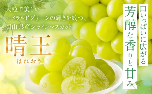 シャインマスカット 晴王 特選 大房 1房 約700g 化粧箱入 マスカット ぶどう ブドウ 葡萄 果物 くだもの フルーツ 果実 果汁 果肉 旬 種なし 皮ごと 大粒 冷蔵 贈答用 贈り物 プレゼント ギフト 国産 岡山県産 【 2026年8月上旬から10月下旬迄発送 】