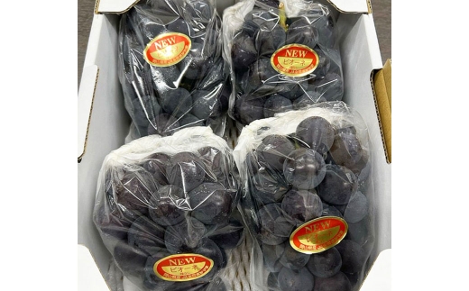 ニューピオーネ 4房 （ 合計約2.0kg ） ぶどう ブドウ 葡萄 くだもの 果物 フルーツ 果実 果汁 果肉 国産 岡山県産 【 2026年8月下旬〜9月下旬迄順次発送予定 】