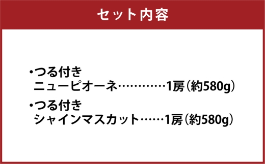 つる付き！ ニューピオーネ ＆ 晴王 シャインマスカット Aセット ハウス栽培 ブドウ ぶどう 葡萄 果物 くだもの フルーツ 果実 マスカット 食べ比べ 【 2026年7月上旬～8月上旬発送予定 】