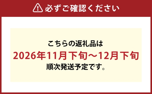 あたご梨 約3kg （ 3 ～ 5玉 ） 梨 なし ナシ 贈答 くだもの 果物 果実 フルーツ あたご 贈答品 完熟 国産 岡山県産 【 2026年11月下旬～12月下旬発送予定 】