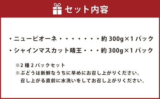 岡山県産 ぶどうパック詰合せ ※2種2パックセット （ ニューピオーネ ・ シャインマスカット ）【2026年9月上旬～10月下旬発送予定】 ／ ぶどう ブドウ 葡萄 種なし 種無し ピオーネ マスカット 晴王 はるお フルーツ 果物 くだもの 果実