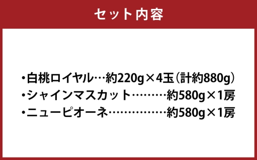 岡山白桃 ＆ 晴王 シャインマスカット ＆ ニューピオーネ セット大 桃 くだもの 果物 フルーツ 果実 もも モモ 白桃 葡萄 ブドウ ぶどう マスカット 【 2026年7月上旬～8月上旬発送予定 】