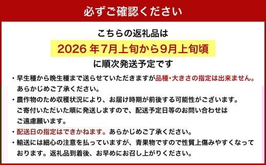 【 ご 家庭用 】 岡山 白桃 2種 2玉 500g  【 2026年7月上旬から9月上旬頃発送予定 】 ／ 果物 くだもの フルーツ もも 桃 甘い 香り 柔らかい ジューシー 美味しい 岡山県 美咲町