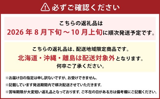 岡山県産 ニューピオーネ 4房 （1房480g以上） 約2kg 【2026年8月下旬-10月上旬迄発送予定】 ／ 葡萄 ぶどう 果物 果実 フルーツ 種なし 岡山県 美咲町 冷蔵